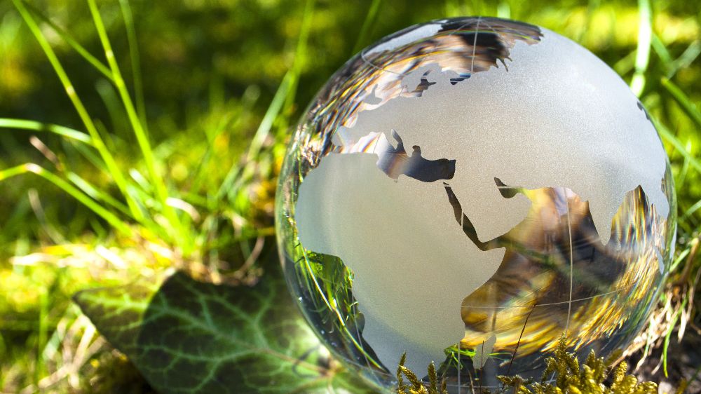 Eine transparente Glaskugel mit eingravierten Kontinenten liegt auf grünem Gras.